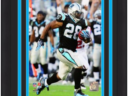 Jonathan Stewart Carolina Panthers NFL Football 8  x 10  Framed and Matted Photo For Discount