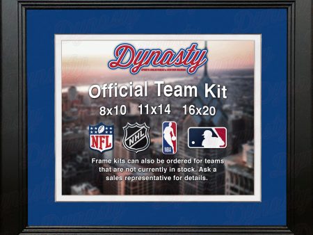 MLB Baseball Photo Picture Frame Kit - Tampa Bay Rays (Blue Matting, White Trim) Online now