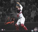 Connor Wong Throwing Action Boston Red Sox Autographed 16  x 20  Spotlight Baseball Photo For Sale